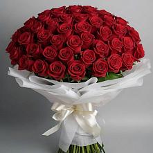 Букет 101 Красная роза Блэк Мэджик в Большая Глушица