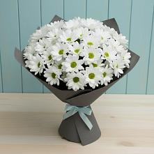 Букет цветов из:  Хризантемы #REPLACE_PRED# Большая Глушица