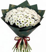 Букет цветов из:  Хризантемы в Большая Глушица