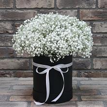 Цветочная композиция из Гипсофила в шляпной коробке в Большая Глушица