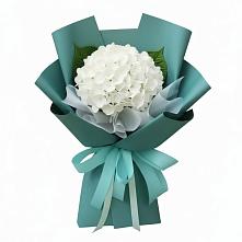Букет цветов из:  Гортензия #REPLACE_PRED# Большая Глушица